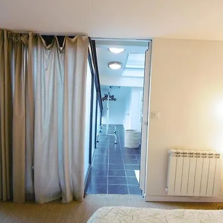 Apartment Loft Baron Citycosy *